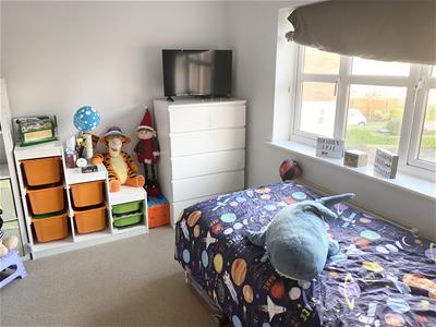 Picture 7